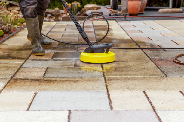 Animal Enclosure Cleaning in Urbana, IA